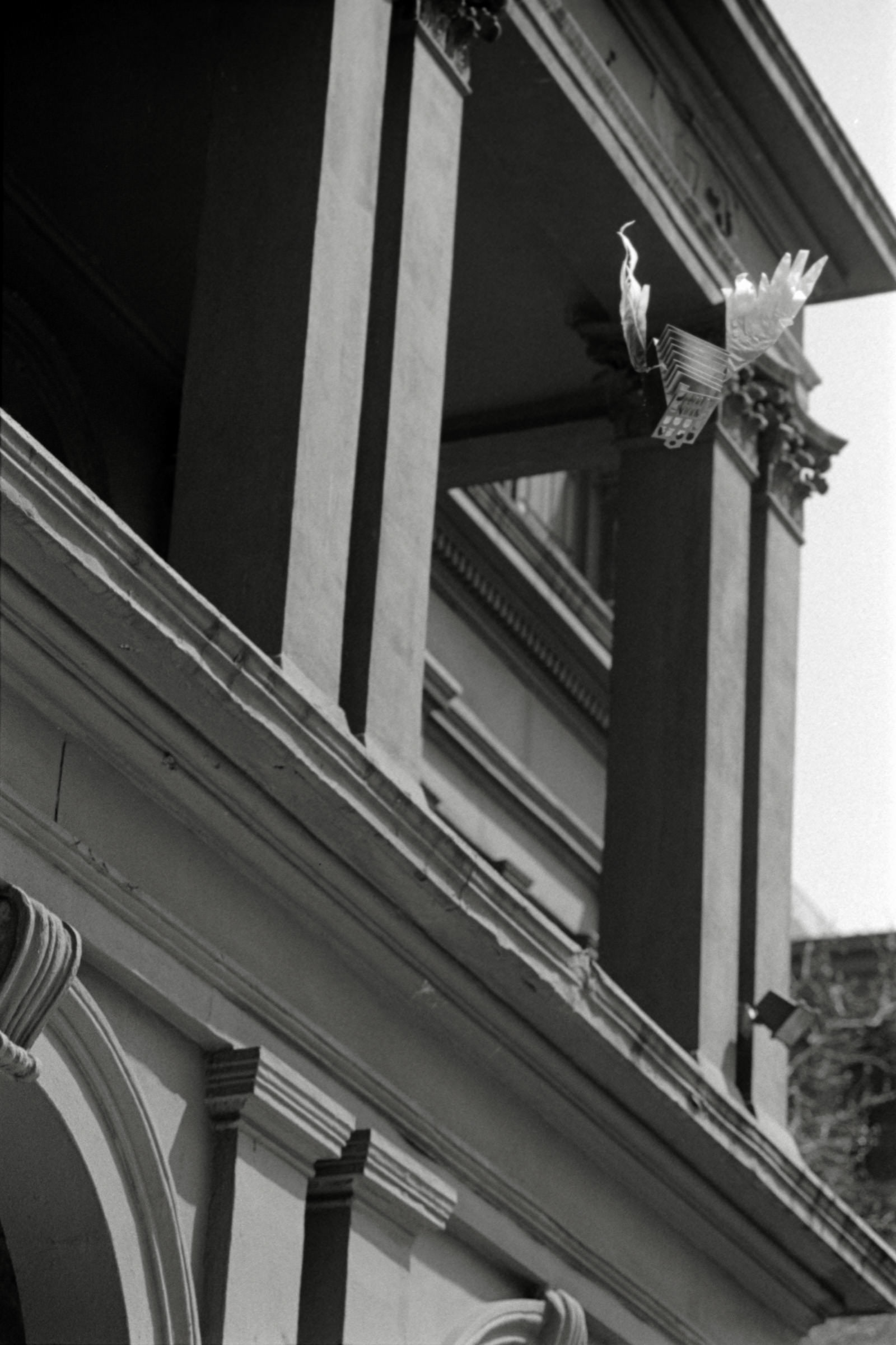 AHP F1995 04 006 sc240817 img26 NLP